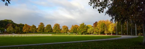 Queens Park Autumn sun and shadow This landscape photograph captures Queen's Park in the United Kingdom during an early autumn morning. The main subject of the image is the natural beauty of Queen's Park, with rows of deciduous trees displaying shades of green, yellow, and orange under the soft autumn sunlight. There are distinct patches of sun and shadow across the open grassy areas, emphasising the changing light typical of autumn mornings. Curved paved paths cross the park, guiding visitors through its well-maintained grounds. The photograph highlights the harmonious blend of paths, trees, and open spaces, all central to nature in this prominent United Kingdom park.